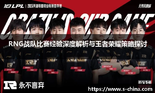 RNG战队比赛经验深度解析与王者荣耀策略探讨